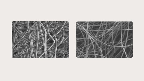 Exufiber vs. Aquacel Faserverbände unter dem Mikroskop